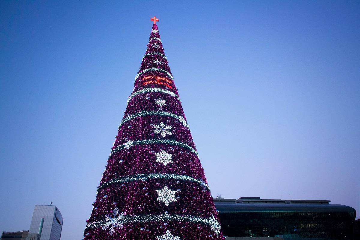 A giant Christmas tree in the square in front of Seoul City Hall in Korea.