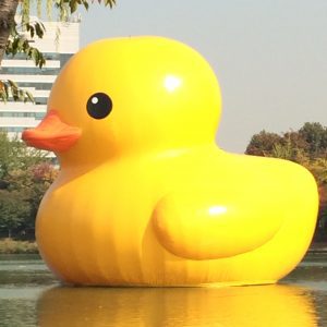 The Rubber Duck Project is on display in Seoul from October 14 through November 14, 2014.