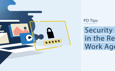 Security Check in the Remote Work Age